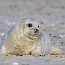 thumbs/IMG_1434.jpg